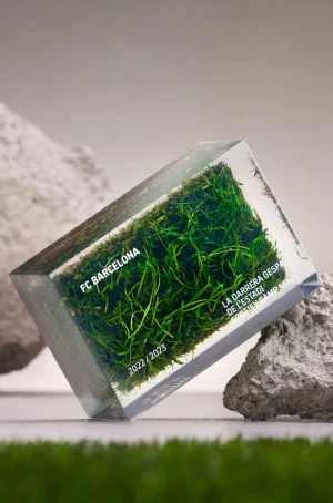 Outlet Metacrilato con el último césped del estadio Spotify Camp Nou Stadium Memorabilia